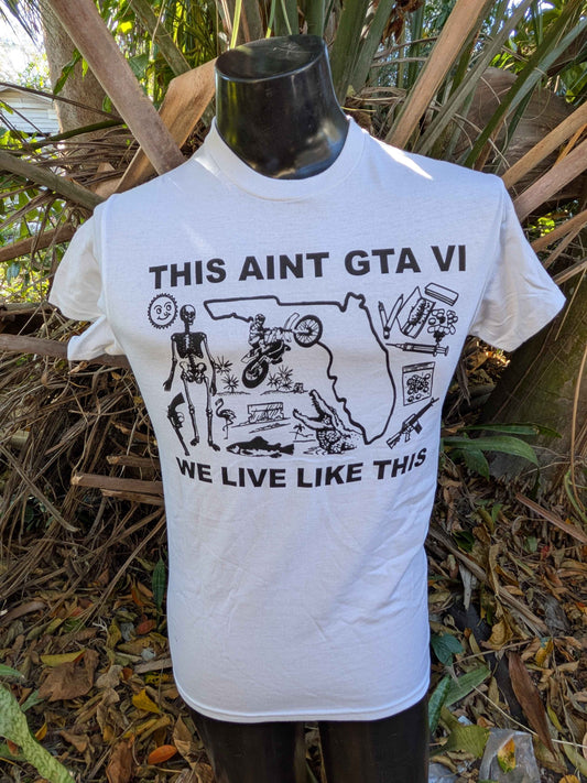 This Aint GTA VI, We Live Like This